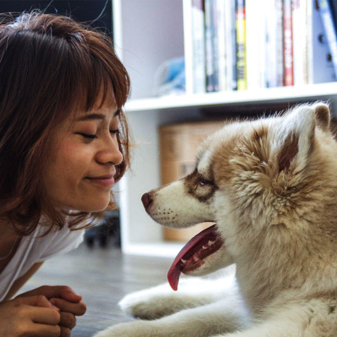 Dog-playing-with-the-lady