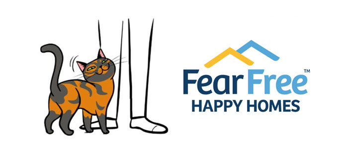 fearfree logo thumbnail