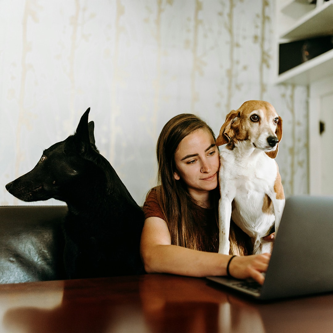 girl-dogs-home-office RVT-Led Treatments